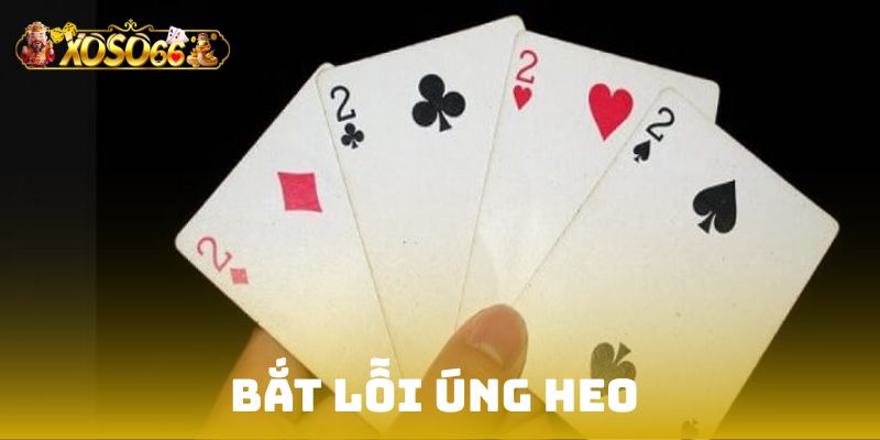 Bắt lỗi úng heo