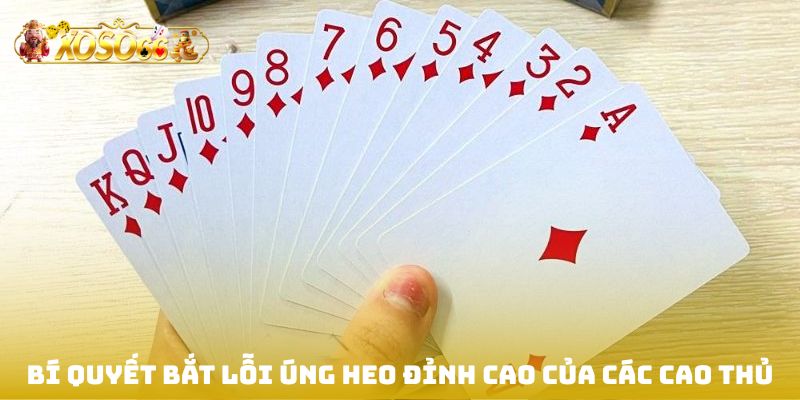 Bí quyết bắt lỗi úng heo đỉnh cao của các cao thủ