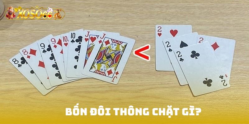 Bốn đôi thông chặt gì