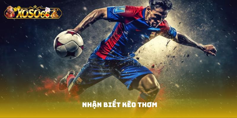 nhận biết kèo thơm